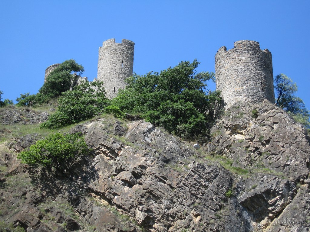 20090804_136